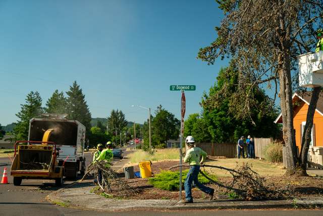 Crew chipping brush at the curb