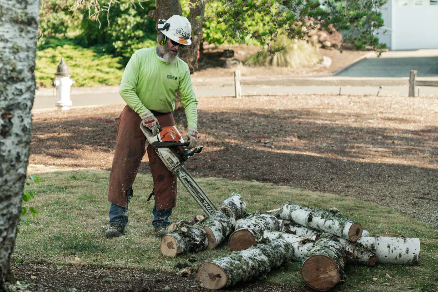 Crew bucking logs into rounds after a removal