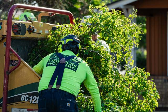 Crew member at the chipper in an Oregon Woodsmen shirt