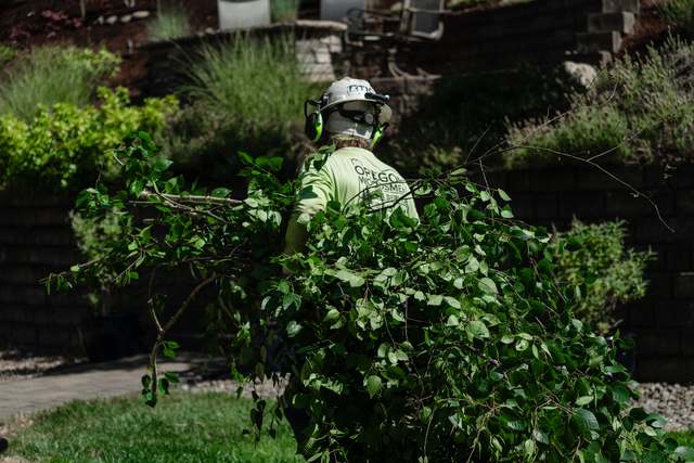 Crew member clearing brush