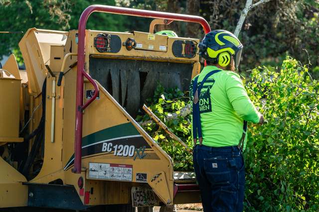 Crew member feeding the chipper