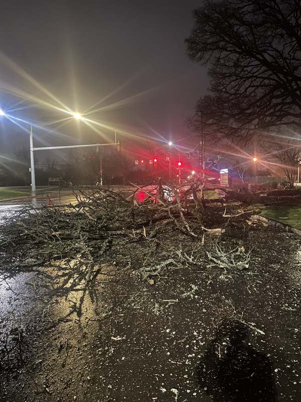 Storm debris across a street at night