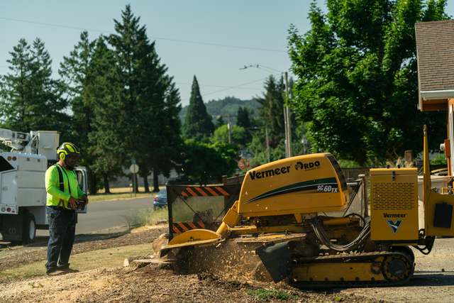 Stump grinding in a front yard